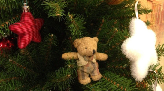 Большинство воронежцев верят, что наступивший год будет лучше 2013-ого