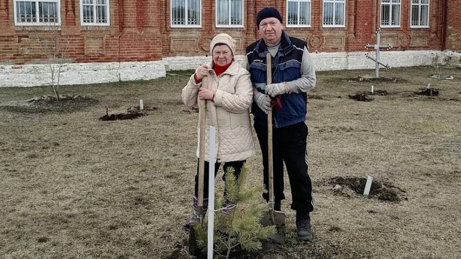 Жители верхнемамонского села Осетровка озеленили территорию у храма