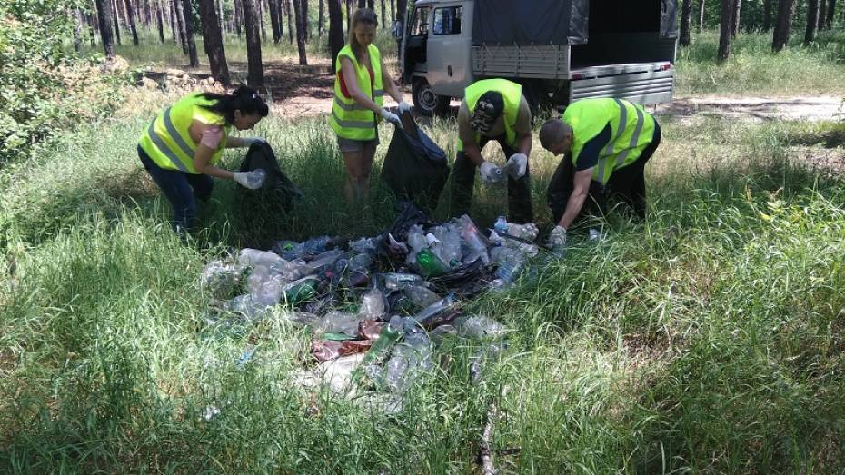 Из лесов Воронежской области за лето вывезли 150 кубометров мусора
