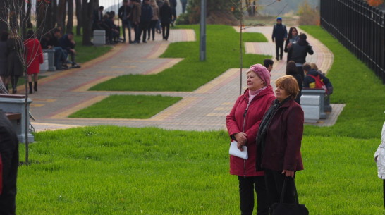 В Воронежской области определили самые эффективные райцентры и муниципалитеты