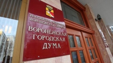 Воронеж войдет в 2015 год с бюджетным дефицитом в 245,5 млн рублей