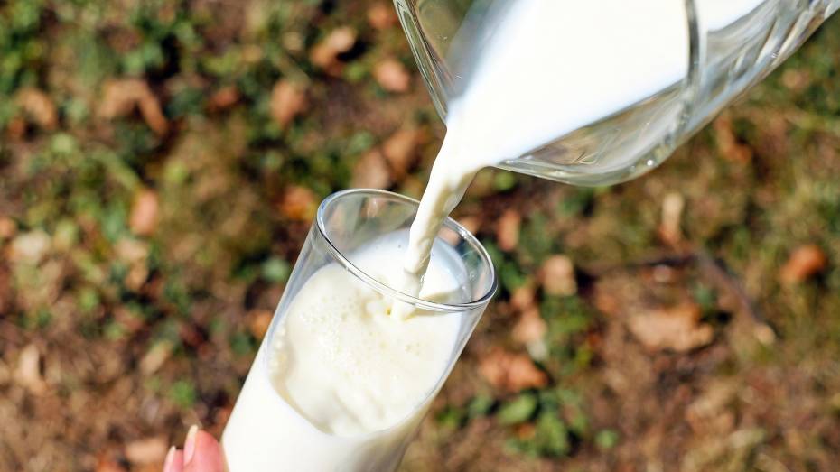 В Воронежской области произвели более 1 млн тонн молока в 2023 году
