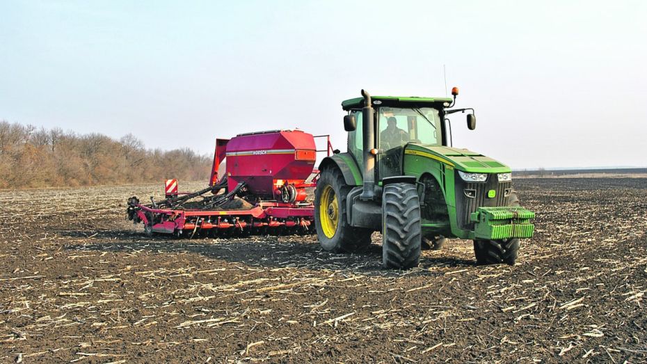 Семилукский район вышел в региональные лидеры по эффективности использования сельхозугодий