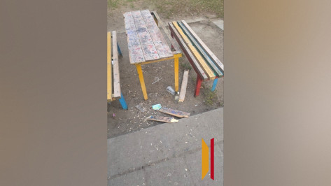 Воронежцы продолжают сообщать о пьяных подростках-вандалах на улице Шишкова