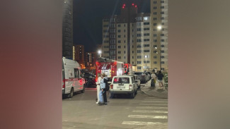 В воронежском ЖК «Волна» на улице Артамонова ночью произошел пожар