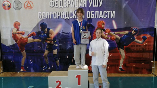 Подгоренские ушуисты выиграли 10 медалей межрегионального турнира