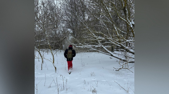 Волонтеры рассказали о поисках потерявшейся в Воронежской области 88-летней женщины