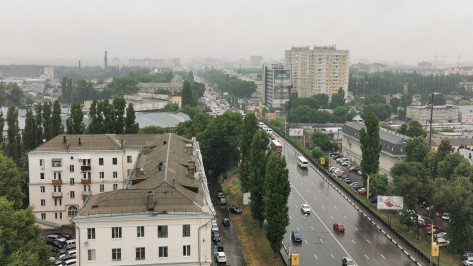 Дожди в Воронеже будут идти всю неделю