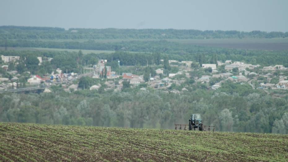 В Воронежскую область направят 285 млн рублей на возмещение затрат аграриев на мелиорацию