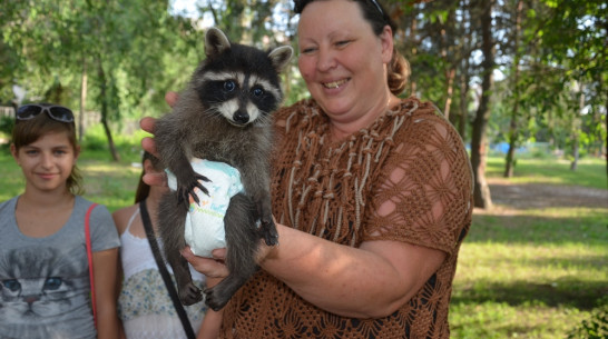 Воронежский воздухоплаватель подарил детскому театру зверей енота