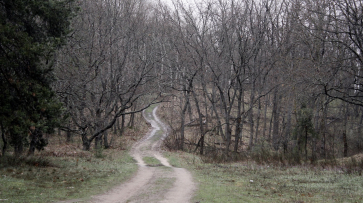 Пропавшего воронежца нашли мертвым в его машине в лесополосе