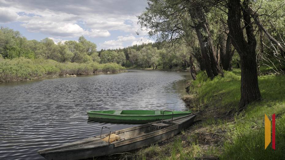 На текущей неделе погода в Воронеже будет жаркая и облачная