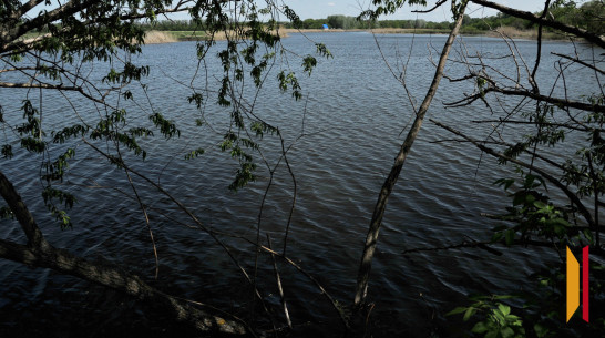 В Воронежской области 33-летний мужчина утонул в реке Дон 11 августа