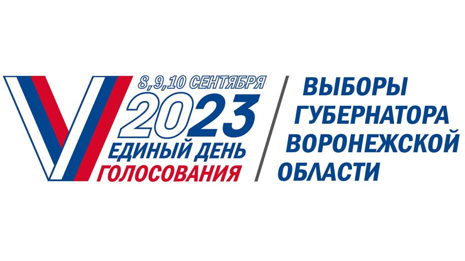 Диалог с избирателями: как политические партии готовятся к выборам губернатора Воронежской области