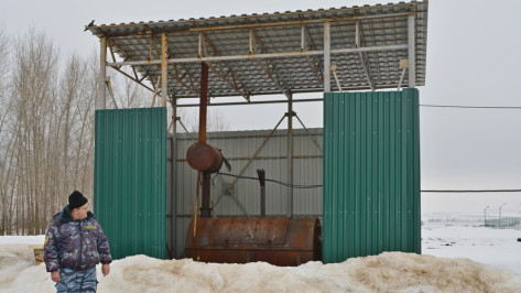 В Нижнедевицком районе на свинокомплексах установят крематоры