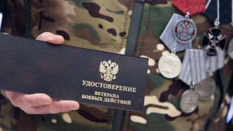 Воронежская область вошла в десятку регионов по трудоустройству участников СВО