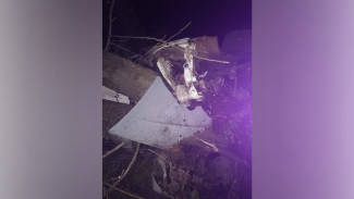 В Воронежской области перевернулся грузовик: пострадали два человека