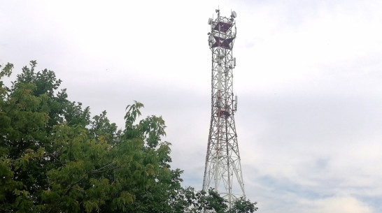 Во всем Грибановском районе запустили ускоренный 4G-интернет