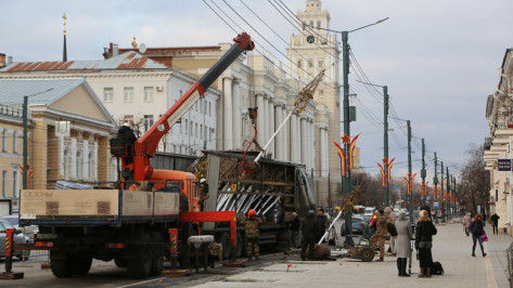 Первые клены высадили в рамках реконструкции проспекта Революции в Воронеже