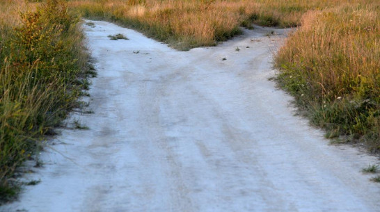 Школьникам запретили выезжать с экскурсиями за пределы Воронежской области