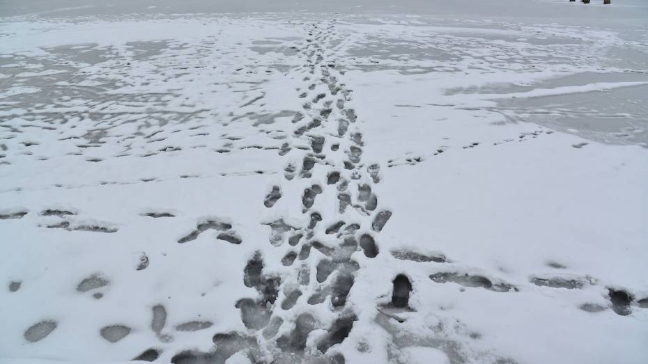 Спасатели предостерегли воронежцев от выхода на лед, несмотря на похолодание