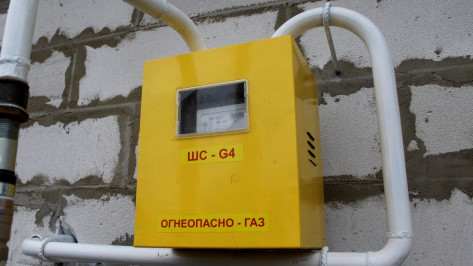 Воронежские УК и теплоснабжающие организации задолжали за газ 233 млн рублей