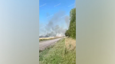 Сильный пожар, охвативший пшеничное поле под Воронежем, сняли на видео