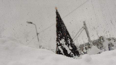 МЧС предупредило о снежных заносах и сильном ветре в Воронежской области
