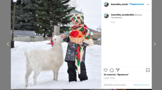 У козы из Воронежской области появилась своя страница в Instagram