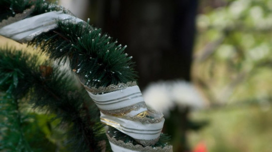 Общественница предложила построить в Воронеже крематорий за 3,5 млн рублей 