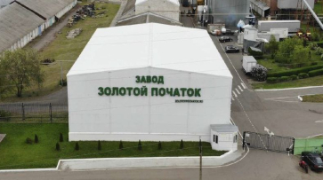 Воронежский губернатор подчеркнул важность модернизации завода по обработке семян
