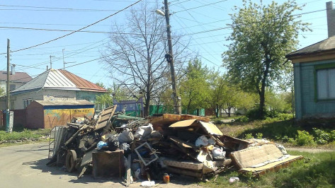 На Левом берегу Воронежа жители частного сектора справляют праздники возле мусорных куч
