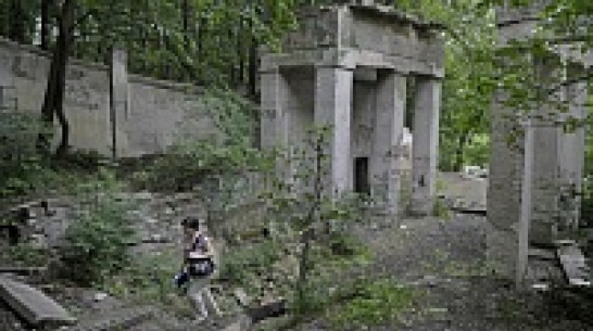 Первый этап реконструкции воронежского парка «Динамо» городские власти хотят завершить в 2015 году 