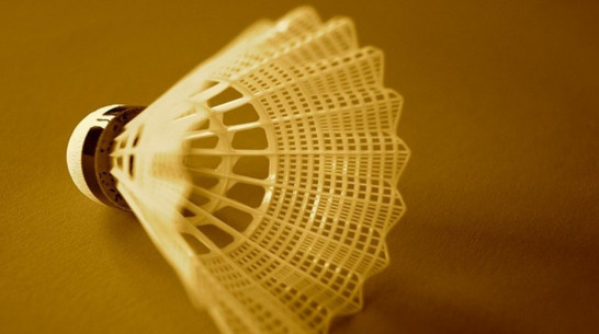 Воронежцы выступят в финале спартакиады России по бадминтону