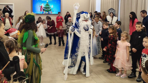 В Общественной палате Воронежской области провели новогоднее представление для 130 детей