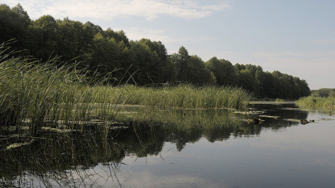 Утонувшему в воронежской Усманке мужчине было 77 лет