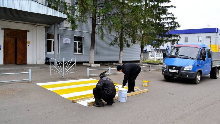 В Грибановке дорожники «нарисовали» светоотражающую «зебру»