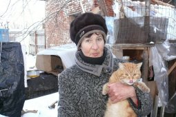 «Тоже живая душа». Бабушка устроила кошачье общежитие на теплотрассе в Воронежской области