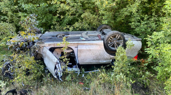Под Воронежем в массовом ДТП пострадали два человека