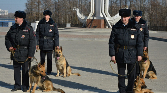 Полицейская собака нашла вора по следам под Воронежем