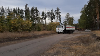 Жителям Воронежской области на 3 недели запретили посещать леса