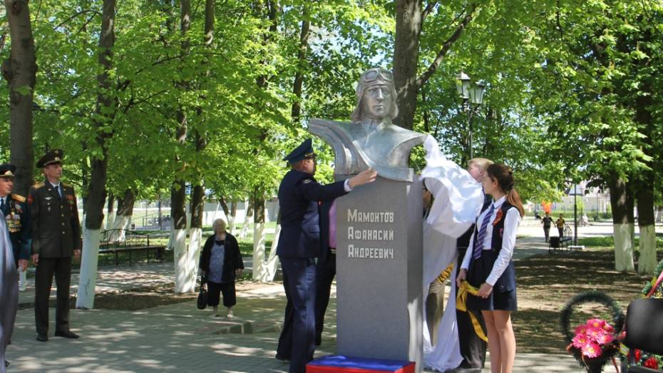 В Боброве установили памятник летчику-герою