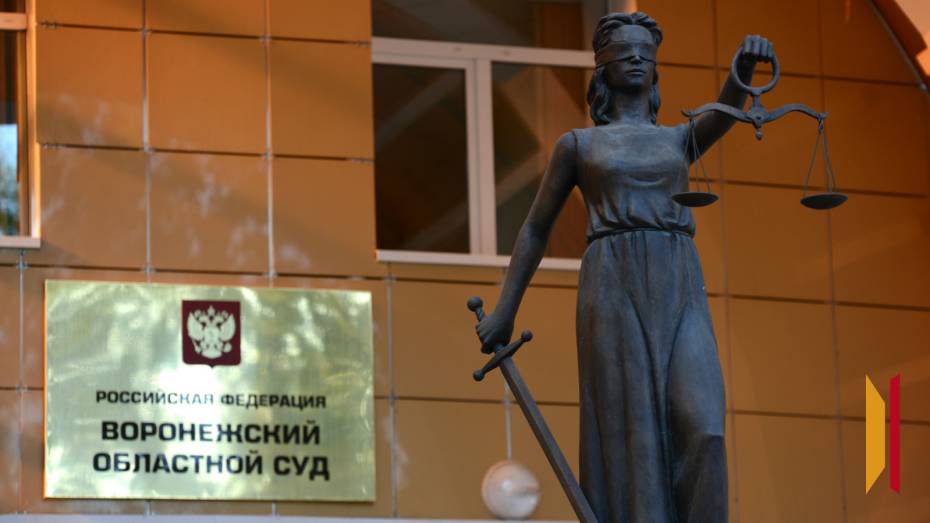 В Воронеже смягчили приговор директору УК за гибель 19-летней девушки от упавшего дерева