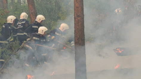 Спасатели потушили два ландшафтных пожара на окраине Воронежа