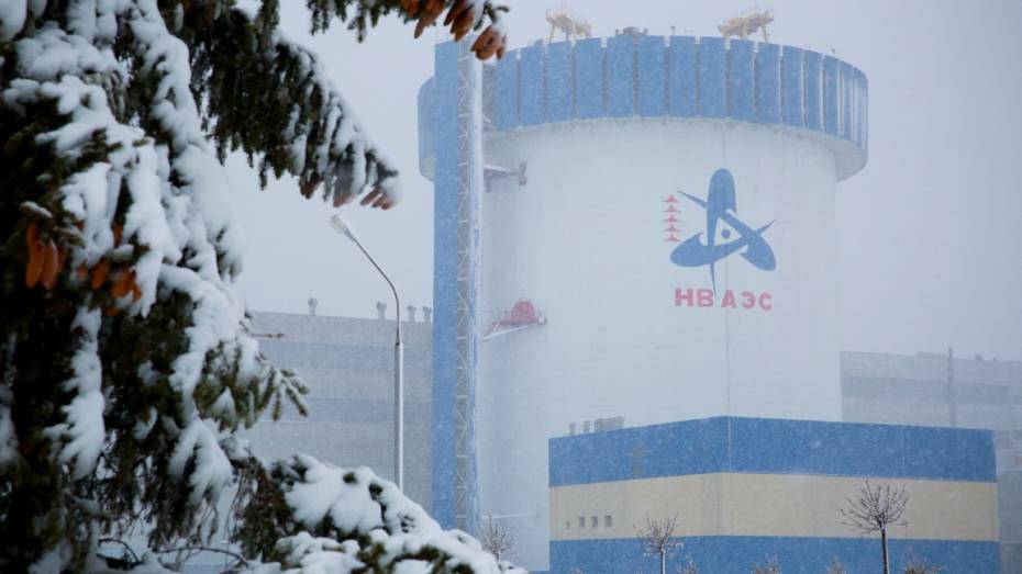Выработка энергоблоков Нововоронежской АЭС превысила годовой план на 8%