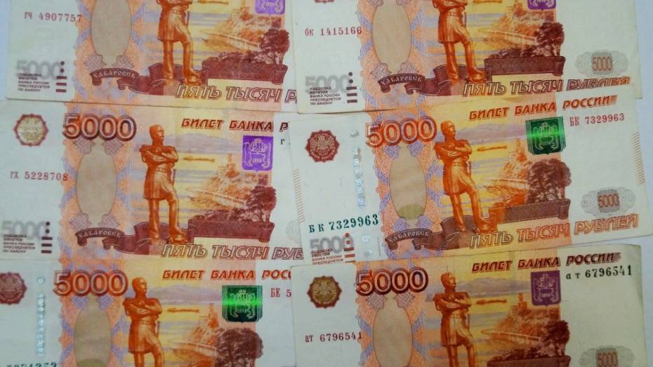 В Воронежской области директор предприятия скрыл от налоговой 2 млн рублей