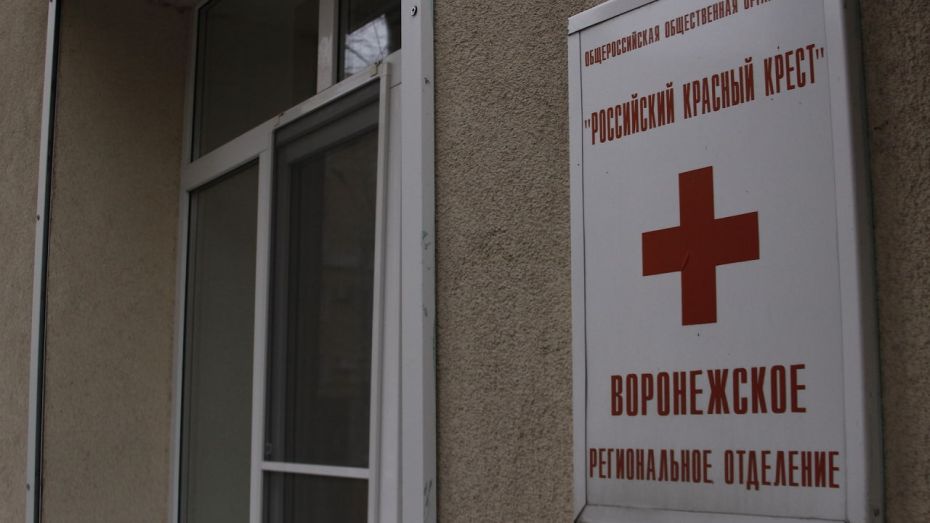 Гумпомощь РКК в Воронежской области получили 1,5 тыс детей из Донбасса и Украины
