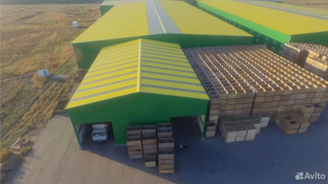 В Боброве Воронежской области выставили на продажу овощехранилище за 220 млн рублей