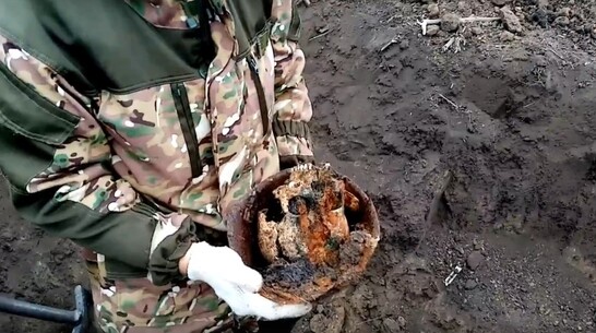 В Воронежской области на распаханном поле обнаружили останки 3 бойцов РККА