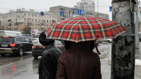 Воронежские спасатели предупредили о дождях и порывах ветра 24 декабря